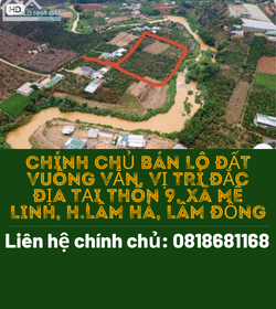 https://infonhadat.com.vn/chinh-chu-ban-lo-dat-vuong-van-vi-tri-dac-dia-tai-thon-9-xa-me-linh-h-lam-ha-lam-dong-j36825.html