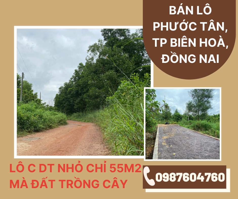 https://infonhadat.com.vn/lo-c-dt-nho-chi-55m2-ma-dat-trong-cay-ban-lo-phuoc-tan-tp-bien-hoa-dong-nai-j37087.html
