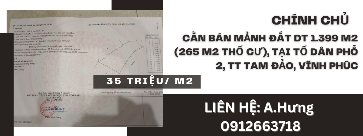 https://infonhadat.com.vn/chinh-chu-can-ban-manh-dat-dt-1-399-m2-265-m2-tho-cu-tai-to-dan-pho-2-tt-tam-dao-vinh-phuc-j38335.html