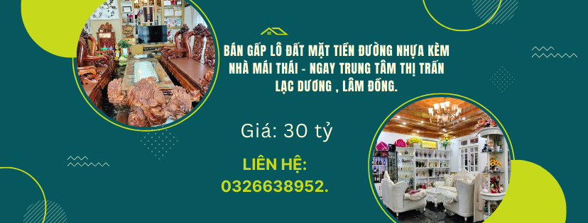 https://infonhadat.com.vn/ban-gap-lo-dat-mat-tien-duong-nhua-kem-nha-mai-thai-ngay-trung-tam-thi-tran-lac-duong-lam-dong-j39171.html