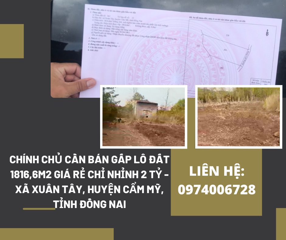 https://infonhadat.com.vn/chinh-chu-can-ban-gap-lo-dat-1816-6m2-gia-re-chi-nhinh-2-ty-xa-xuan-tay-huyen-cam-my-tinh-dong-nai-j37921.html