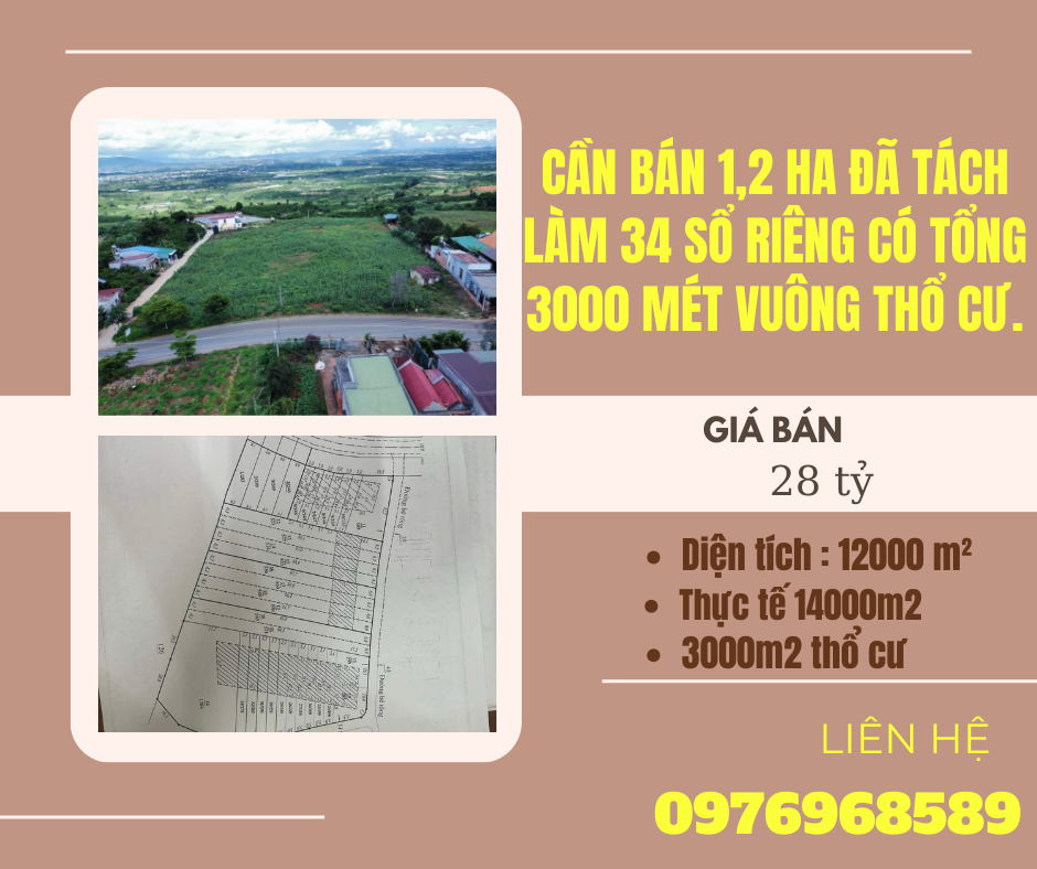 https://infonhadat.com.vn/can-ban-1-2-ha-da-tach-lam-34-so-rieng-co-tong-3000-met-vuong-tho-cu-j39143.html