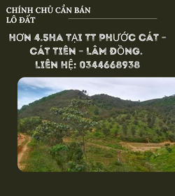 https://infonhadat.com.vn/chinh-chu-can-ban-lo-dat-hon-4-5ha-tai-tt-phuoc-cat-cat-tien-lam-dong-lien-he-0344668938-j35400.html