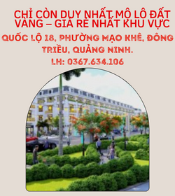 https://infonhadat.com.vn/chi-con-dung-1-lo-dat-vang-o-dat-sh3-01-lo-goc-2-mat-tien-duong-lon-doi-dien-cong-vien-khu-shophouse-quoc-lo-18-phuong-mao-khe-dong-trieu-quang-ninh-j35151.html