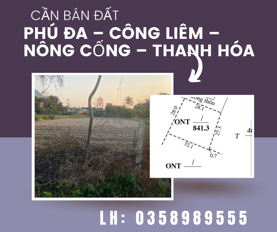 https://infonhadat.com.vn/can-ban-dat-tai-phu-da-cong-liem-nong-cong-thanh-hoa-mien-quang-cao-j35262.html