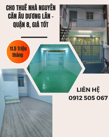 https://infonhadat.com.vn/cho-thue-nha-nguyen-can-au-duong-lan-quan-8-gia-tot-j39935.html