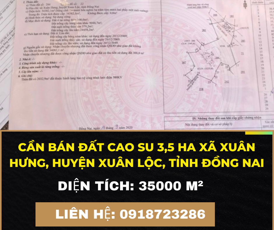 https://infonhadat.com.vn/can-ban-dat-cao-su-3-5-ha-xa-xuan-hung-huyen-xuan-loc-tinh-dong-nai-j37319.html