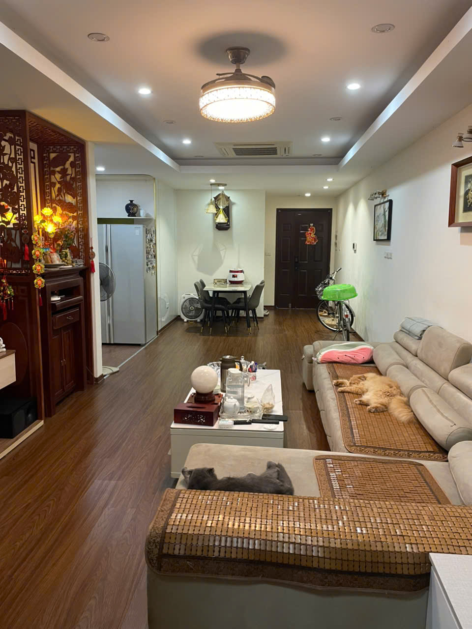 https://infonhadat.com.vn/uploads2019/images/customer/3013376410/images/1787709436600_5072150746941698751_5072150746941698751_61fc0b57b12ba0f9f045ea8b8c71dfe6.jpg