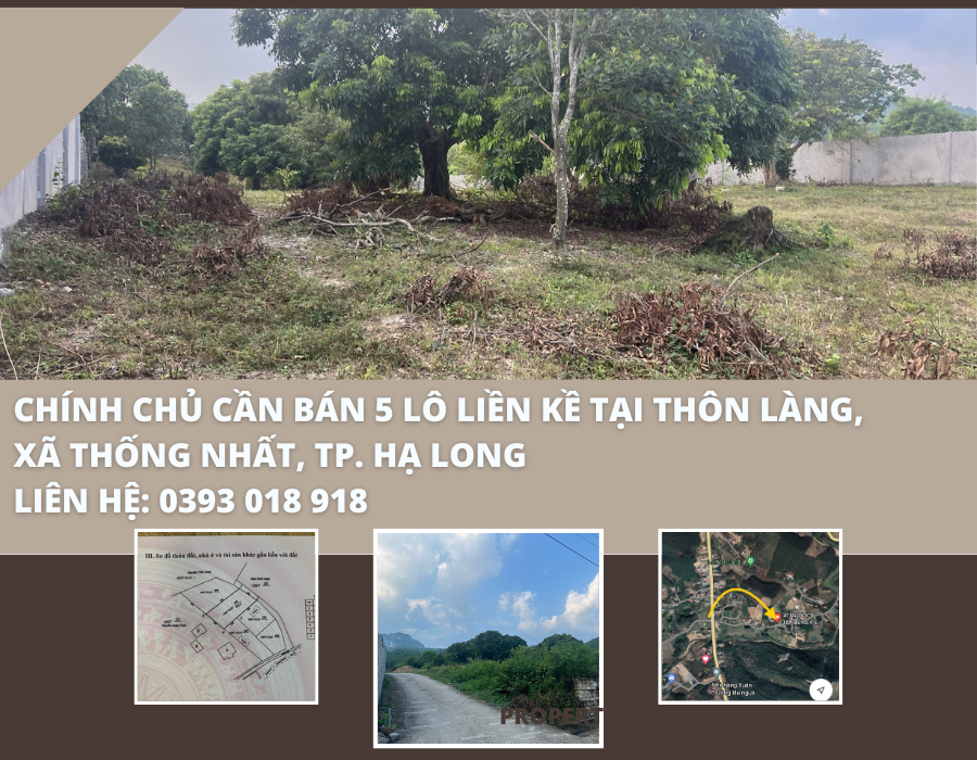 https://infonhadat.com.vn/chinh-chu-can-ban-5-lo-lien-ke-tai-thon-lang-xa-thong-nhat-tp-ha-long-j38325.html