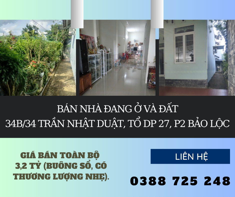 https://infonhadat.com.vn/ban-dat-bao-loc-gia-tot-3-2-ty-so-rieng-j40095.html