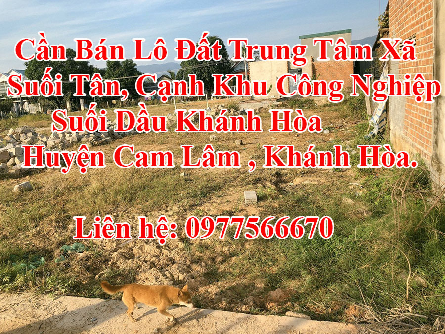 http://infonhadat.com.vn/can-ban-lo-dat-trung-tam-xa-suoi-tan-canh-khu-cong-nghiep-suoi-dau-khanh-hoa-huyen-cam-lam-khanh-hoa-j31836.html