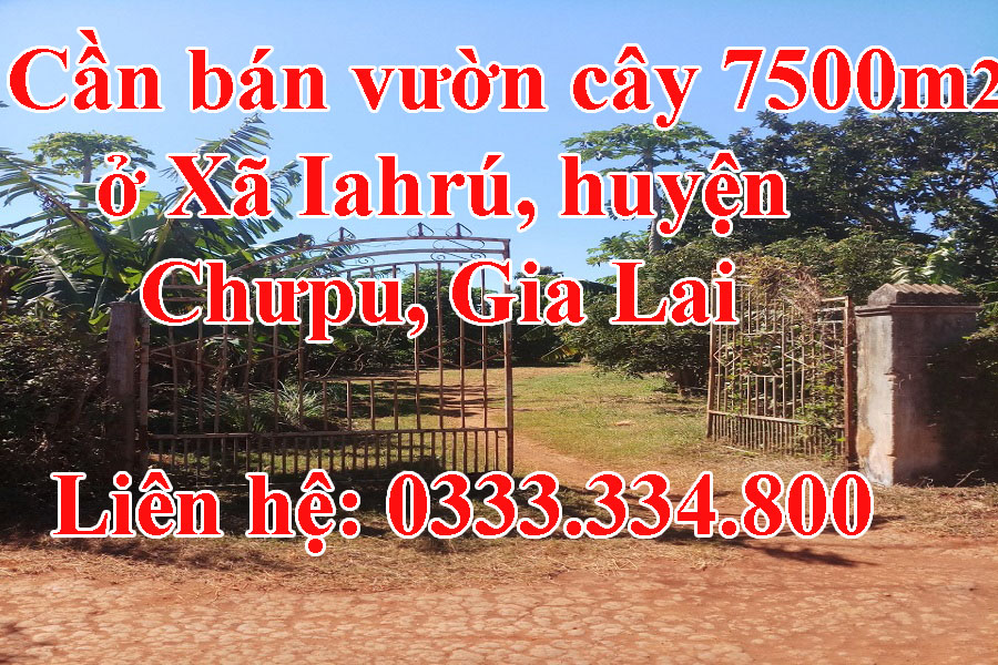 http://infonhadat.com.vn/can-ban-vuon-cay-7500m2-o-xa-iahru-huyen-chupu-gia-lai-j33116.html