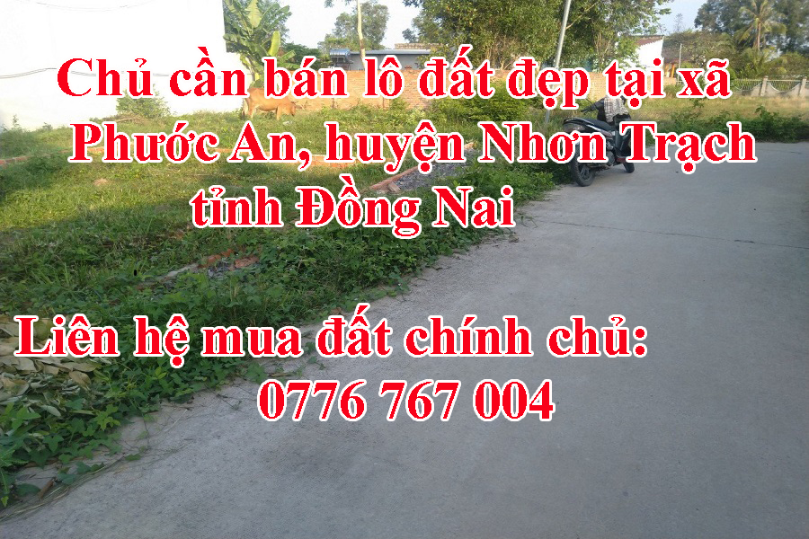 https://infonhadat.com.vn/chu-can-ban-lo-dat-dep-tai-xa-phuoc-an-huyen-nhon-trach-tinh-dong-nai-j34886.html